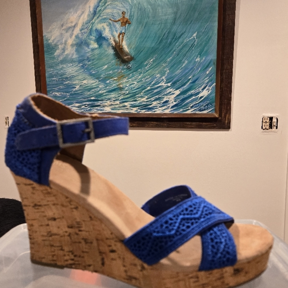 TOMS Blue Wedge Sandals